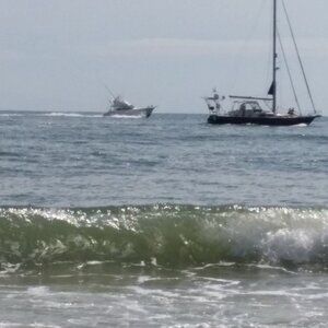 Meet your Posher, Kareem